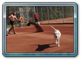 tennis39